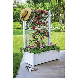 Avis Stefanplast Jardinière rectangulaire - Gris anthracite