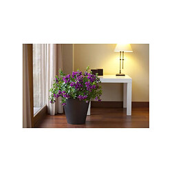 Décoration d'extérieur