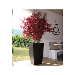 Décoration d'extérieur