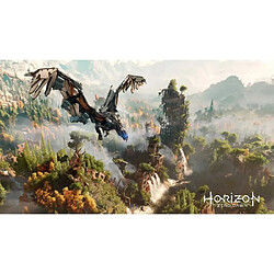 Acheter Sony Interactive Entertainment Horizon Zero Dawn Complete Edition Hits