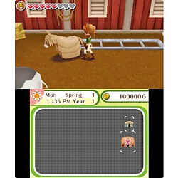 Koch Media Harvest Moon: Le Village de l'Arbre Céleste - 3DS pas cher