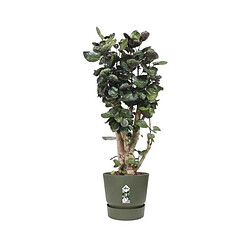 Elho Pot de fleurs rond - Vert kaki pas cher