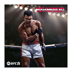 Acheter ELECTRONIC ARTS EA Sports UFC 5