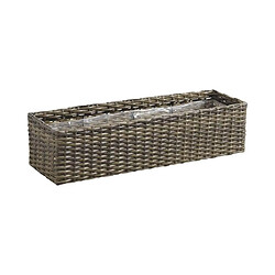 Aubry Gaspard Jardinière rectangulaire en rotin synthétique (Lot de 2).