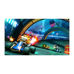 Activision Crash Team Racing Nitro Fueled