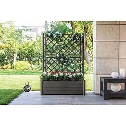 Avis Stefanplast Bac à fleurs rectangulaire - Gris anthracite