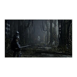 Avis Sony Demon's Souls Remake