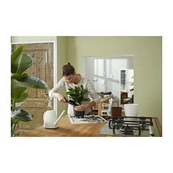 Avis Elho Support de jardinière - Noir