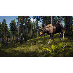 THQNORDIC THQ Nordic Way of the Hunter