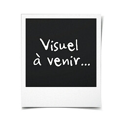 Just For Games Borderlands The Handsome Collection pas cher