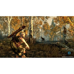 Avis Jeu vidéo console Skyrim