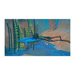 Acheter Microids Dolphin Spirit - Mission Ocean PS5