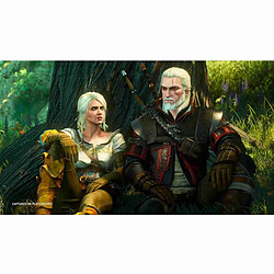 Bandai Namco Games The Witcher 3 Wild Hunt Complete Edition
