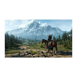 Acheter Bandai Namco Games The Witcher 3 Wild Hunt Complete Edition