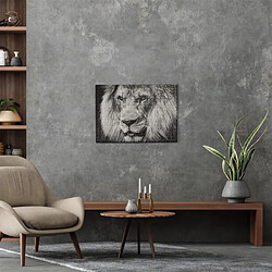 Avis Paris prix Puzzle lion noir et blanc - 500 pièces