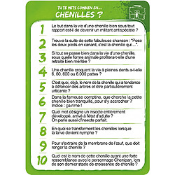 Avis Pixie Games TTMC 2