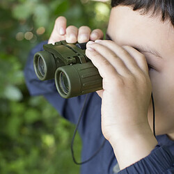 Avis Kikkerland Jumelles Huckleberry - Vert