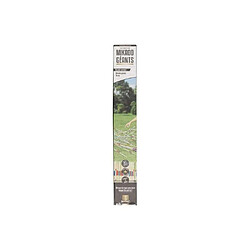 Avis Mister Gadget Mikado géant en bois