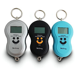 Acheter TOTALCADEAU Pèse-bagage balance électronique
