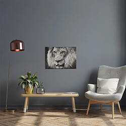 Paris prix Puzzle lion noir et blanc - 500 pièces