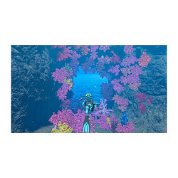 Avis Nintendo Endless Ocean Luminous SWITCH