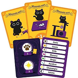 Avis Asmodée Maudit mot dit