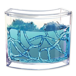Totalcadeau Aquarium pour fourmilière
