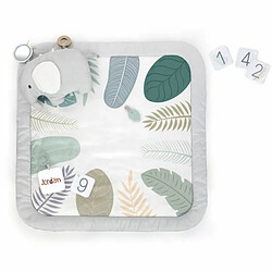 Ingenuity Tapis de Jeu Bébé
