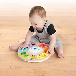Baby Einstein Orchestre Magic Touch