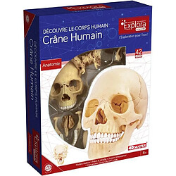 MGM Explora Anatomie Crâne