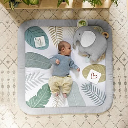 Ingenuity Tapis de Jeu Bébé