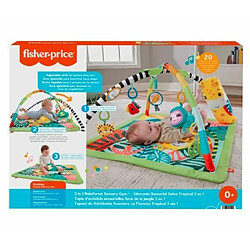 Fisher Price Rainforest Spieldecke Spielbogen