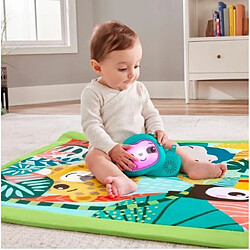 Fisher Price Rainforest Spieldecke Spielbogen