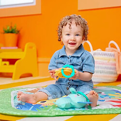Avis Bright Starts Tapis de jeu pour enfants - Multicouleur