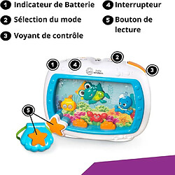 Baby Einstein Veilleuse Sea Dreams Soother