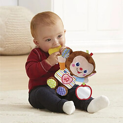 VTECH Baby Noé Singe d'Activités