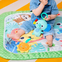 Acheter Bright Starts Tapis de jeu pour enfants - Multicouleur