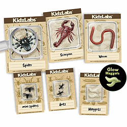 Acheter 4M Kit des insectes rampants