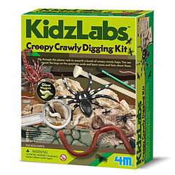 4M Kit des insectes rampants