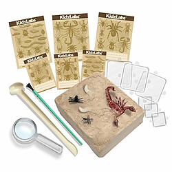 Avis 4M Kit des insectes rampants