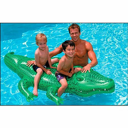 Jeu de récréation Intex