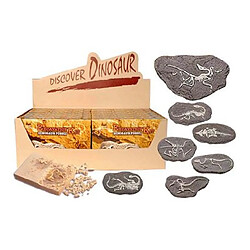 Bones & more Mini squelette dinosaure éducatif