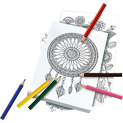 Avis Schmidt Spiele Schmidt Boîte de Coloriage