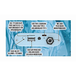 Acheter Lexibook Enceinte Portable Frozen 2