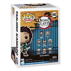 Avis Funko Figurine Pop Demon Slayer Tanjiro (Training)