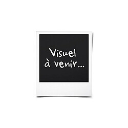 Manga et Anime Marvel