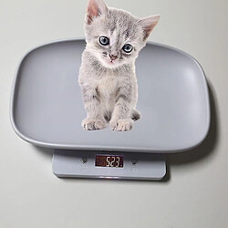 Avis Balance électronique pour animaux - Universal