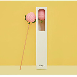 Jouet Teaser Mordu Pour Chat