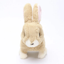 Robot Lapin Peluche