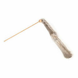 Gloria Canne à Chat